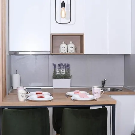 Apartment Spas Titova Zlatibor Palisat