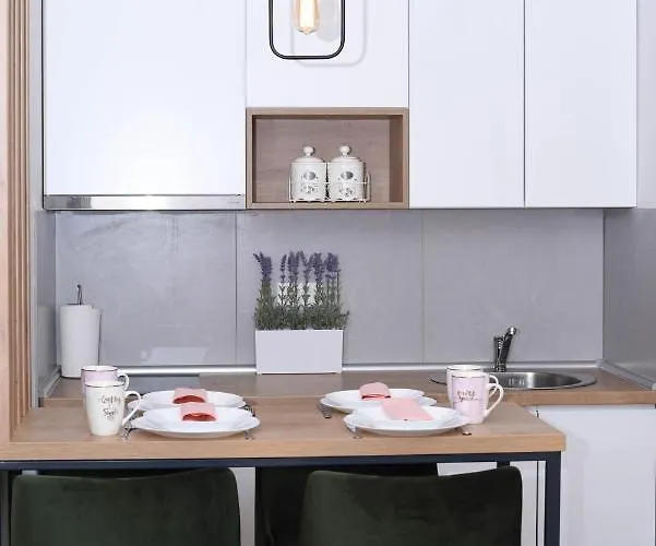 Lägenhet Spas Titova Zlatibor Palisat