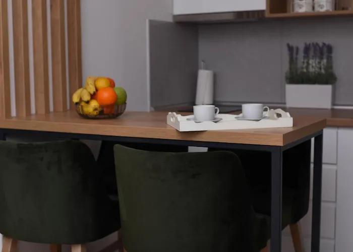 Spas Titova Zlatibor Palisat